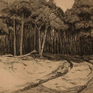 Landscap Study with Trees Drawing JanSirks