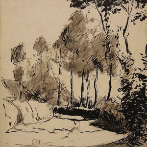 Landscape Trees Drawing Jan Sirks