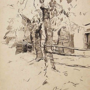 Trees Farm Drawing Jan Sirks