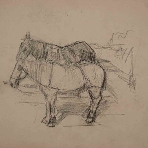 Workhorses Study Drawing Jan Sirks
