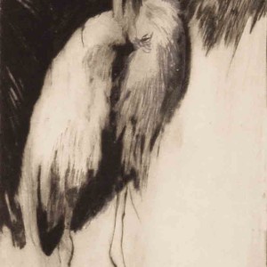 Heron etching by Jan Sirks