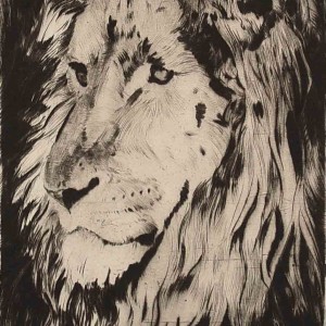 Lion etching by jan Sirks
