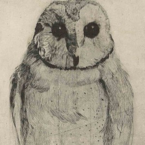 Etching of Owl by Jan Sirks