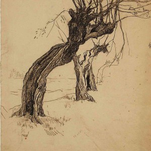 tree drawing by Jan Sirks