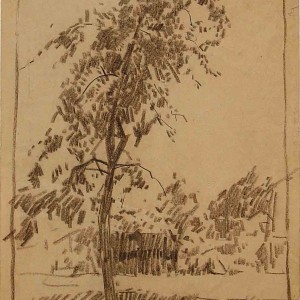 Drawing of tree by Jan Sirks