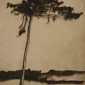 Etching of tree by Jan Sirks