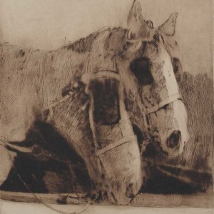 Etching of workhorses by Jan Sirks